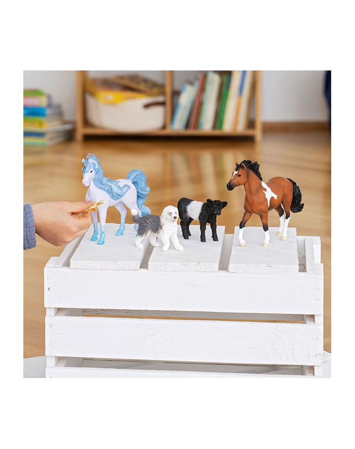 Schleich 13969 Cielę rasy Galloway główny