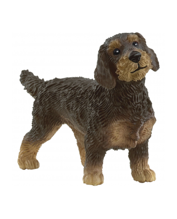 Schleich 13972 Jamnik szorstkowłosy