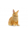 Schleich 13974 Królik lwi - nr 5