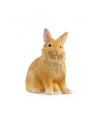 Schleich 13974 Królik lwi - nr 6