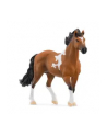 Schleich 13978 Ogier rasy Mangalarga Marchador - nr 6