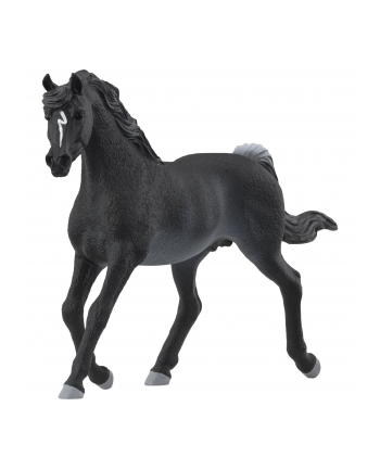 Schleich 13981 Ogier czystej krwi arabskiej