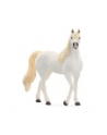Schleich 13983 Klacz czystej krwi arabskiej - nr 4