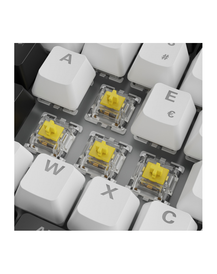 Sharkoon SGK50 S3 White, Gateron Yellow główny