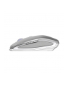 Cherry Gentix BT, mouse (silver) - nr 24
