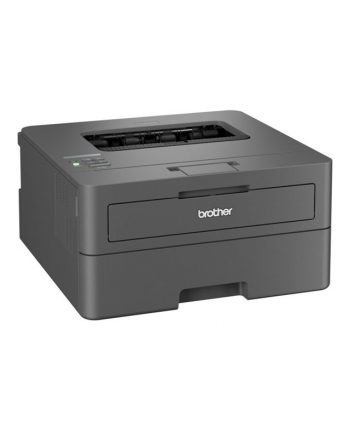 Brother HL-L2400DW