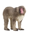 Schleich 14871 Makak japoński Wild life - nr 1