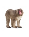 Schleich 14871 Makak japoński Wild life - nr 3