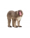 Schleich 14871 Makak japoński Wild life - nr 6