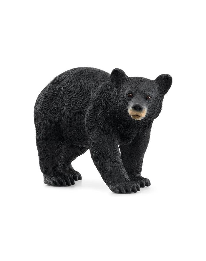 Schleich 14869 Niedźwiedź czarny Wild life główny