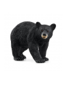 Schleich 14869 Niedźwiedź czarny Wild life - nr 3
