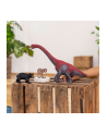 Schleich 14869 Niedźwiedź czarny Wild life - nr 4