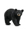 Schleich 14869 Niedźwiedź czarny Wild life - nr 5