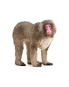 Schleich 14871 Makak japoński Wild life - nr 6