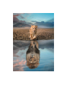 Clementoni Puzzle 300el Super Self Reflection 21719 - nr 3
