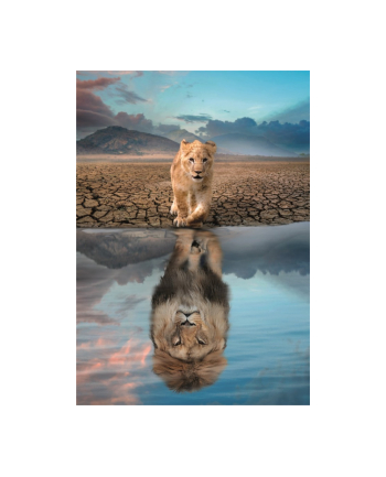 Clementoni Puzzle 300el Super Self Reflection 21719