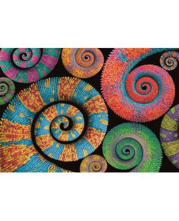 Clementoni Puzzle 500el Colorboom Curly Tails Kręcone ogony 35519