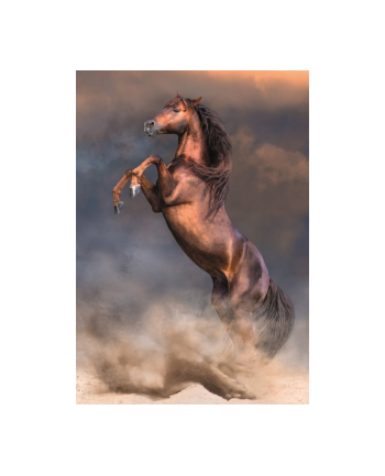 Clementoni Puzzle 500el Dziki czerwony ogier. Wild Red Stallion 35521