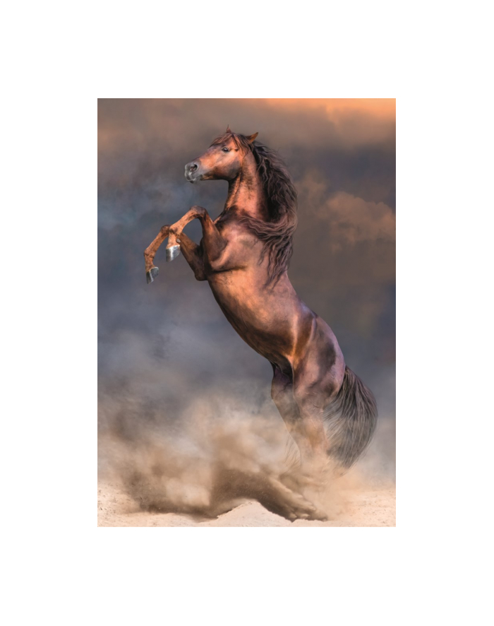 Clementoni Puzzle 500el Dziki czerwony ogier. Wild Red Stallion 35521 główny
