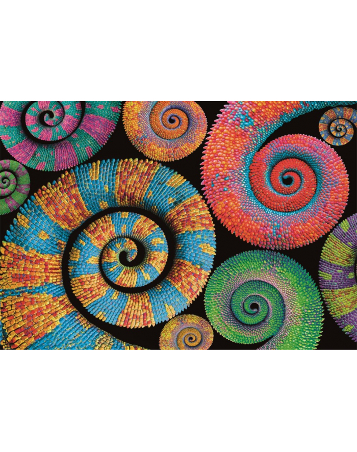 Clementoni Puzzle 500el Compact colorboom Curly Tails 35529 główny