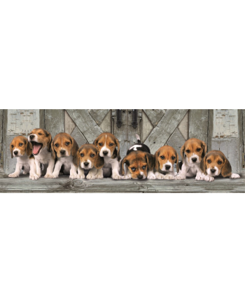 Clementoni Puzzle 1000el Panorama Beagles 39869