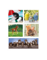 Clementoni Puzzle 10w1 Animal Friends 20283 - nr 4