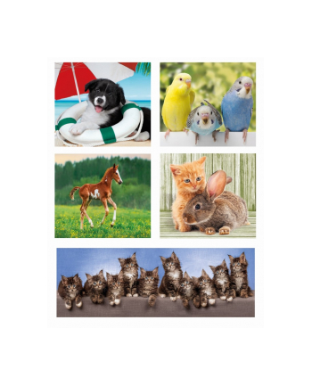 Clementoni Puzzle 10w1 Animal Friends 20283
