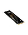 msi Dysk SSD 2TB M.2 PCIe4 7400/7000MB/s - nr 4
