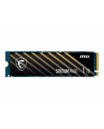 msi Dysk SSD 1TB M.2 PCIe4 3600/3000MB/s