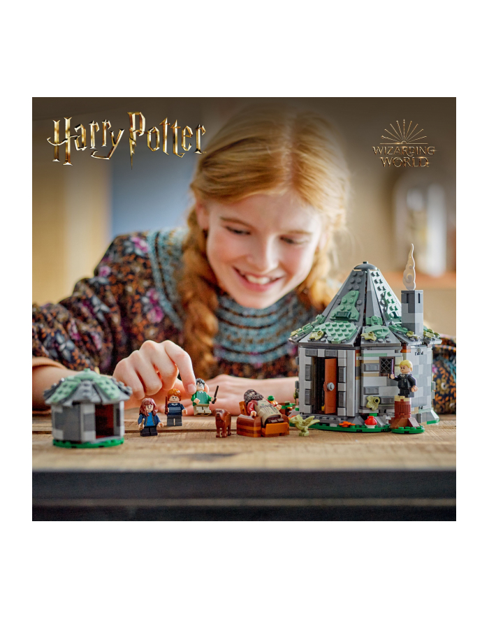 LEGO 76428 HARRY POTTER Chatka Hagrida: niespodziewana wizyta p3 główny