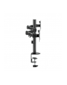 LOGILINK BP0172 Dual monitor mount 17-32inch arm length each 376 mm aluminu - nr 7