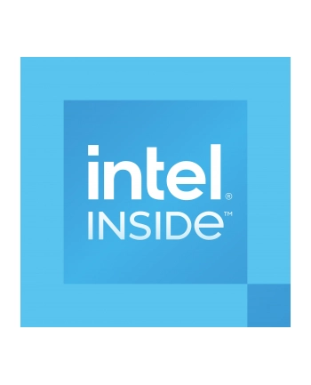 INTEL Processor 300 3.9GHz LGA1700 6M Cache Tray CPU