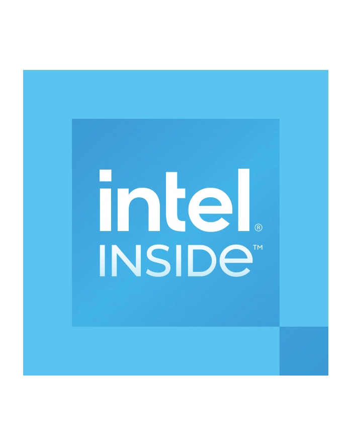 INTEL Processor 300 3.9GHz LGA1700 6M Cache Tray CPU główny