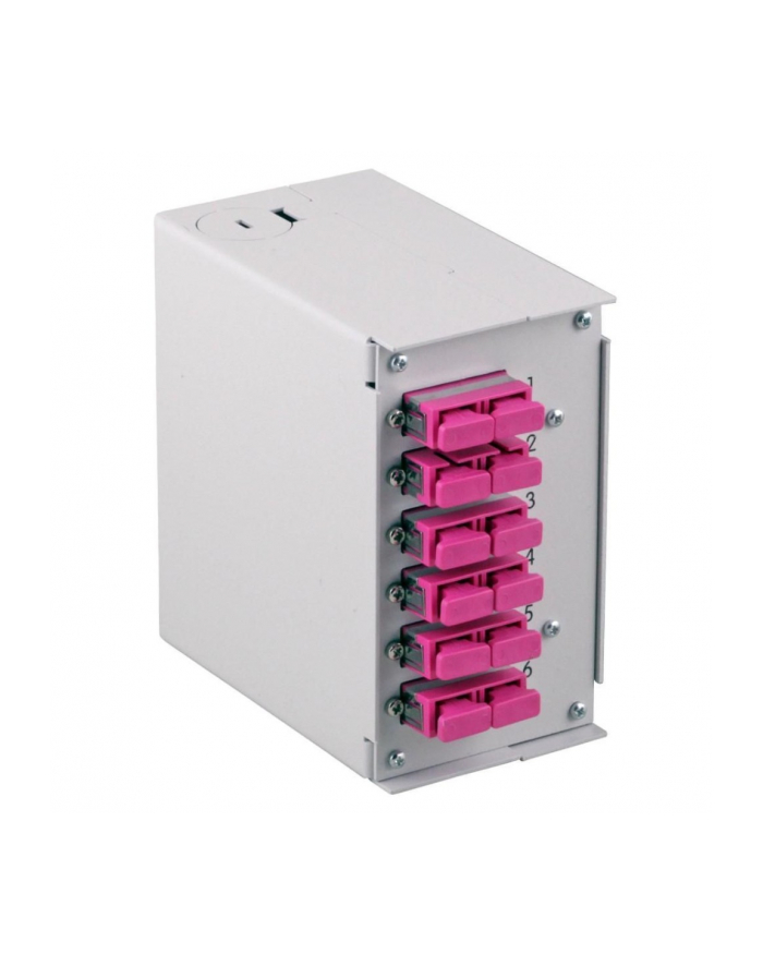 TECHLY Panel przedni do przełącznicy na 6 adapterów główny