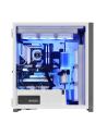 action Actina Custom 14900K/64GB/1TB/RTX4090/1000W/W11 [47 - nr 13