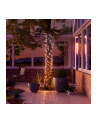 Nanoleaf 1D Outdoor Holiday String Lights Starter Kit 250LED 20m - nr 19