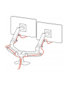 no name Ergotron LX DUAL SID-E BY SID-E ARM POLISH/27IN 181KG LIFT33 MIS-D 10Y WA - nr 7