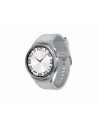 Samsung Galaxy Watch 6 (R965) Classic 47mm LTE, Silver - nr 12
