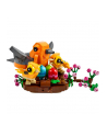 LEGO Okolicznościowe 40639 Ptasie gniazdo - nr 13