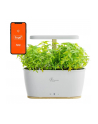 Extralink Smart Garden | Inteligentna doniczka | Wi-Fi, Bluetooth - nr 14