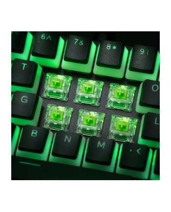 no name Glorious Raptor Switch, mechaniczny, 5-pinowy, clicky, MX-Stem, 55g - 36 sztuk