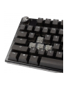 no name Klawiatura gamingowa Ducky One 3 Aura Black, RGB LED - Kailh Jellyfish Y (US) - nr 8