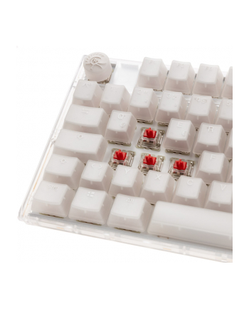 no name Ducky One 3 Aura Biała Klawiatura Gamingowa TKL, RGB LED - MX-Red