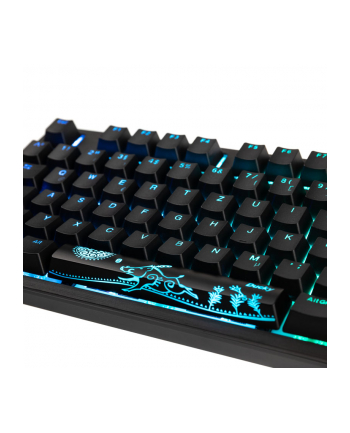 no name Klawiatura gamingowa Ducky Shine 7 PBT, MX-Red, RGB LED - zaciemnienie nr 1