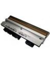 no name CLP 621 CL-S521/621 THERMAL/PRINTHEAD 200 DPI - nr 5