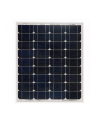 Victron Energy Solar Panel 40W-12V Mono 425x668x25mm series 4a - nr 1