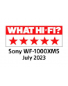 Słuchawki Sony WF1000XM5SCE7 douszne srebrne - nr 32