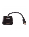 Lindy USB converter, USB-C male > DisplayPort female (Kolor: CZARNY, 21cm, 4K 144Hz) - nr 10