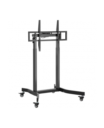 Stojak mobilny Techly 55''-100'', 120 kg, elektryczna regulacja