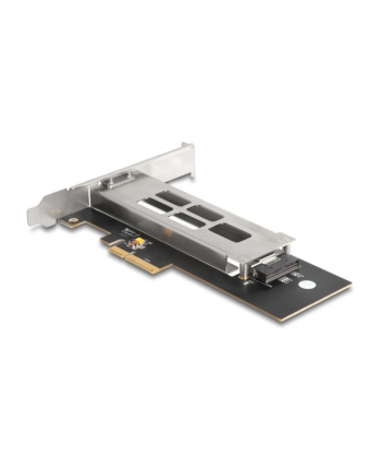 DeLOCK DeLock removable frame PCI Express card for 1 x M.2 NMVe SSD, interface card